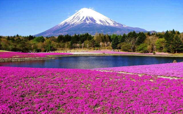 Keindahan Tanpa Batas Di Puncak Gunung Fuji Jepang