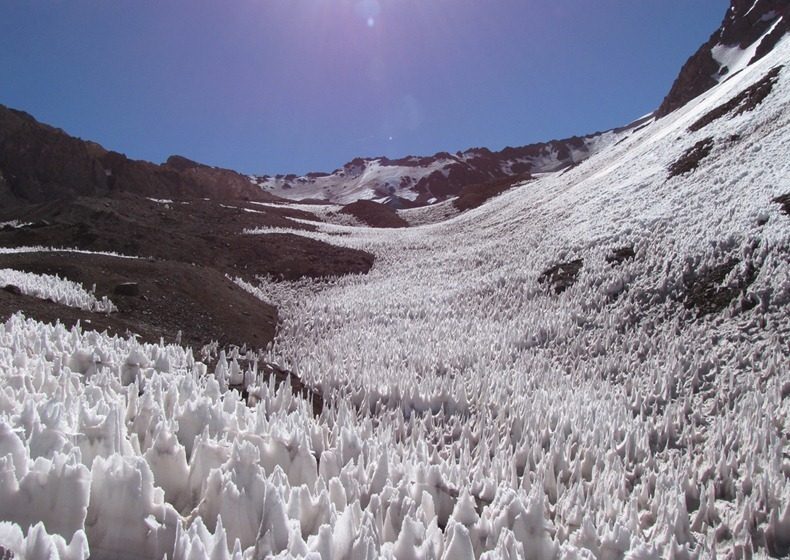 Rumput Es Yang Unik Di Pegunungan Andes