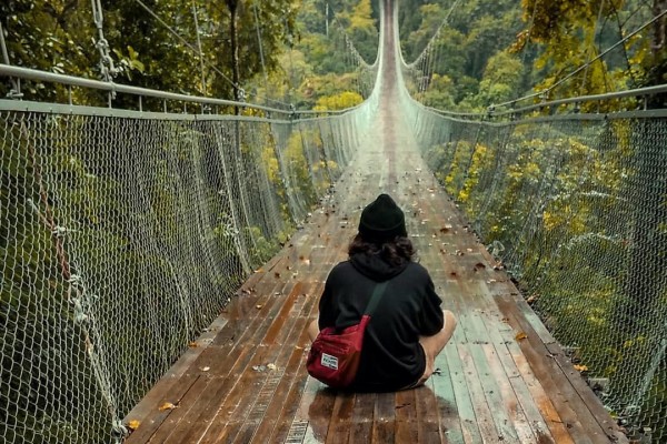 Fakta Menarik Tentang Suspension Bridge Di Indonesia